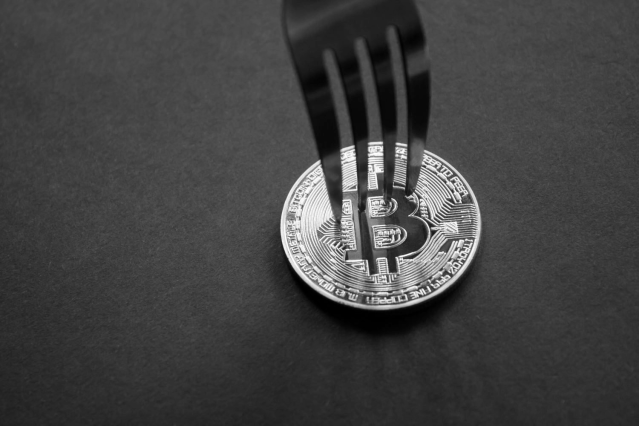 fork-bitcoin-e1502896754549